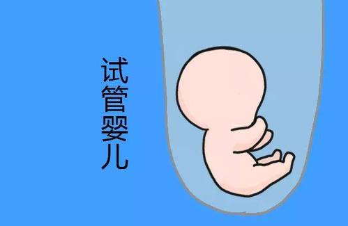 关于私人同性供卵代怀服务怎么选